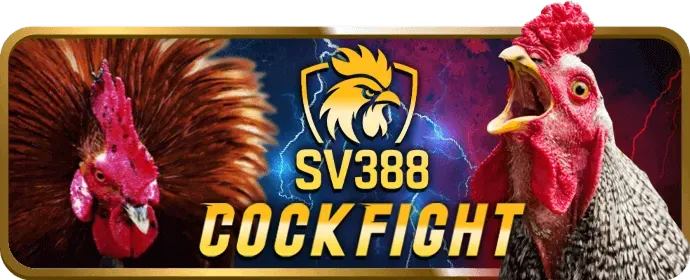 Thưởng chào mừng 6vin bet