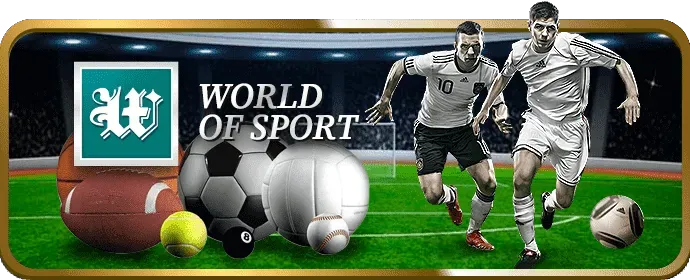 Liên hệ đội ngũ hỗ trợ 6vin bet